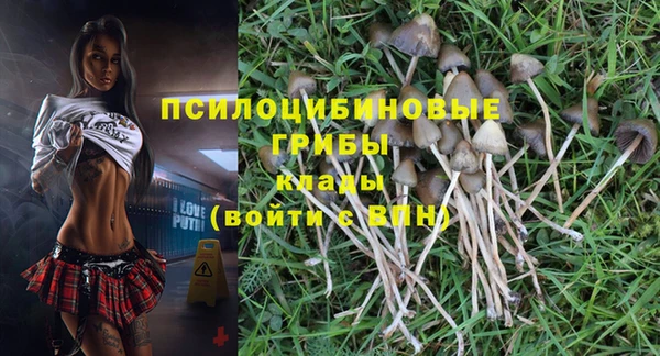 ГАЛЛЮЦИНОГЕННЫЕ ГРИБЫ Алексеевка